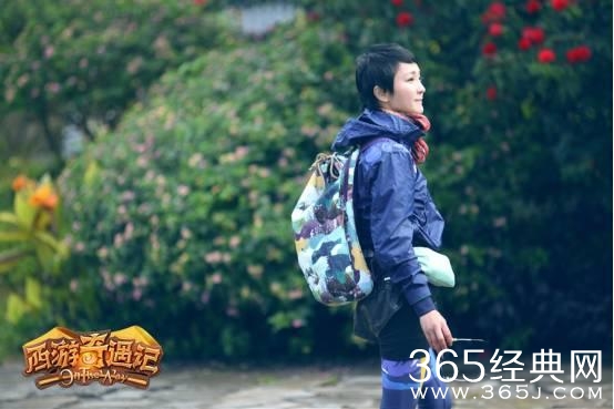 我国综艺这十年（四）：户外真人秀盛极而衰？