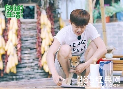 向往的生活何炅黄磊首度荧屏合体 户外综艺展示最真实的日常感