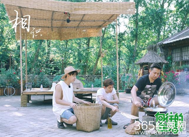 向往的生活何炅黄磊首度荧屏合体 户外综艺展示最真实的日常感