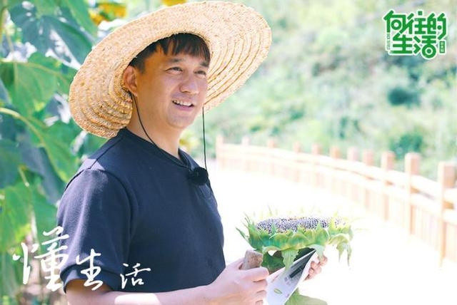 向往的生活何炅黄磊首度荧屏合体 户外综艺展示最真实的日常感