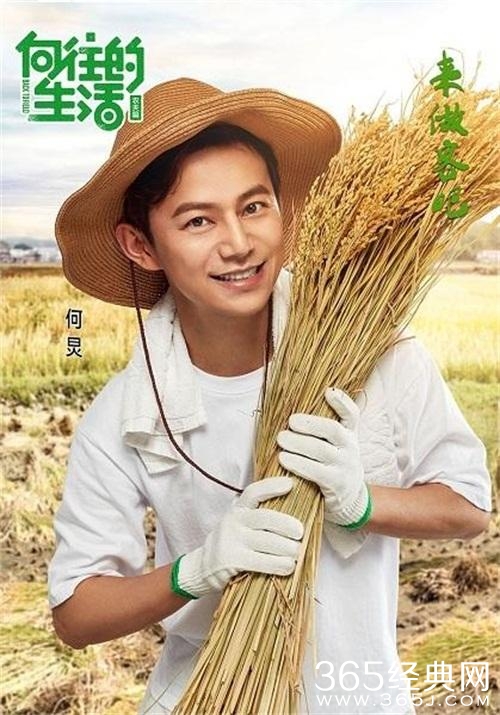 向往的生活何炅黄磊首度荧屏合体 户外综艺展示最真实的日常感