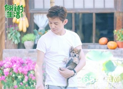 向往的生活何炅黄磊首度荧屏合体 户外综艺展示最真实的日常感