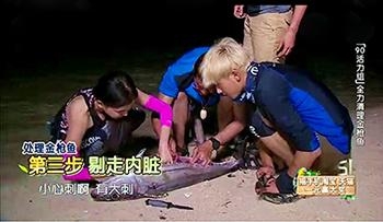 各家小花都去蹭时装周了，唯独她一人受邀欧洲杯？