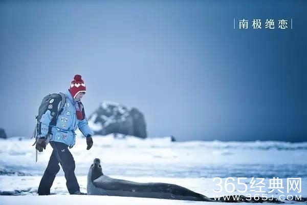 阮经天综艺网红，彭于晏全是大片，只有赵又廷已经一年没新片上了