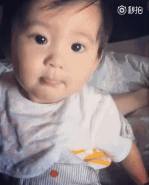 凯特王妃被一对儿女抢镜,修杰楷贾乃亮因女儿收获众多人气,星二代要碾压星爸星妈了吗?