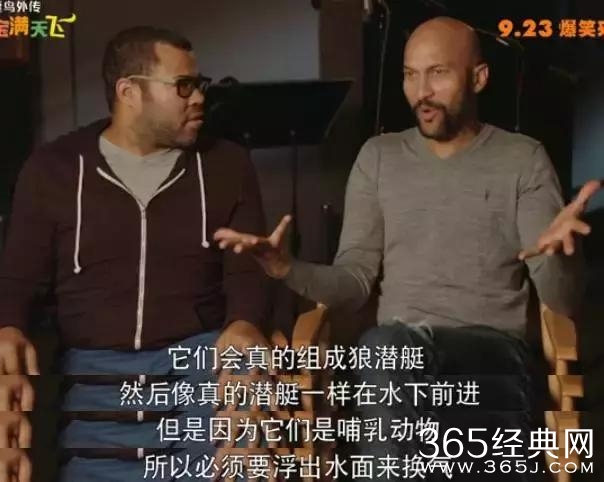 本周评分最高的院线片，快被黑水军淹死了