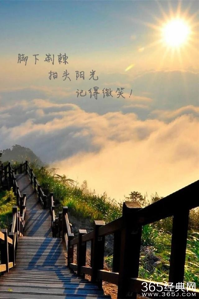 郑爽越演越火，赵丽颖越看越美，古力娜扎越红越黑