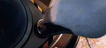 本周评分最高的院线片，快被黑水军淹死了