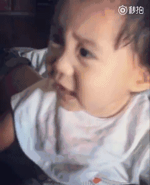 凯特王妃被一对儿女抢镜,修杰楷贾乃亮因女儿收获众多人气,星二代要碾压星爸星妈了吗?