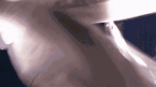 刘亦菲、范冰冰、佟丽娅，哪个更适合演绝世美人？