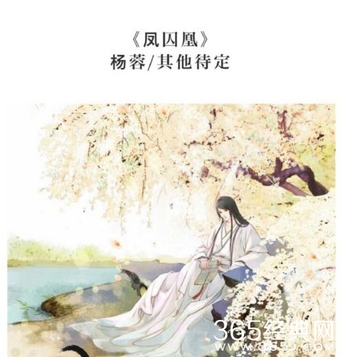 2017年待播电视剧，好几部未播先火