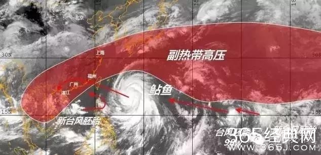 受台风“鲇鱼”外围影响，我市今明两天有一次强降水过程！