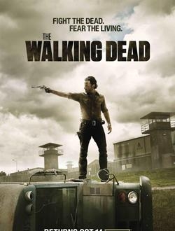 十月份即将推出的最新电视剧,赶紧上车不解释