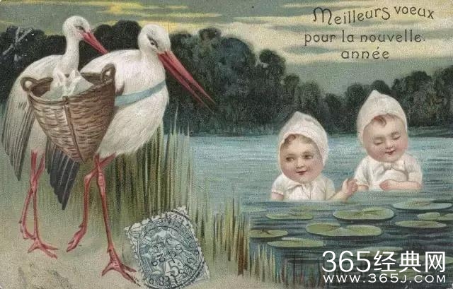 本周评分最高的院线片，快被黑水军淹死了