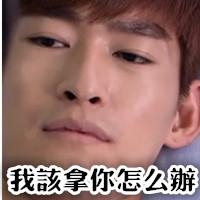 古力娜扎力压郑爽成金鹰女神？这俩人你更支持谁？