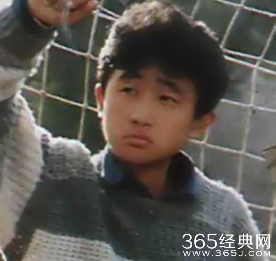 17岁他靠一部剧红遍全国，却因贪污被抓，出狱后发奋图强成总裁