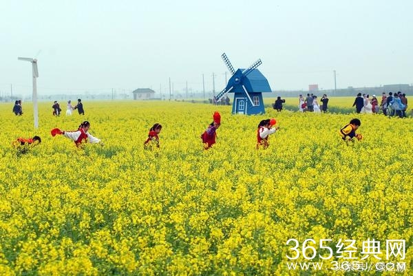 这些农村创业项目,你值得一看!