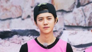 《极限挑战》和《奔跑吧兄弟》差距原来这么大！