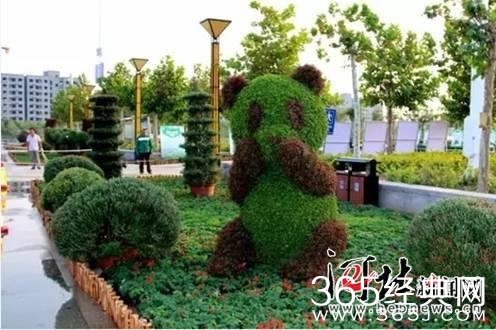 黄骅市第二届花卉展开幕 市民家门口享受视觉盛宴