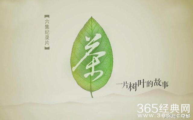 这些有关于茶的影视剧,你看过几部?