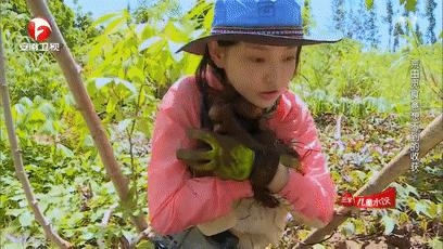 各家小花都去蹭时装周了，唯独她一人受邀欧洲杯？