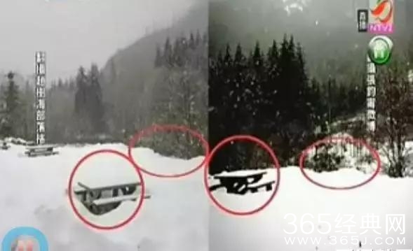 她四次插足别人感情被骂绿茶婊，如今洗白成女神，娱乐圈假白莲花