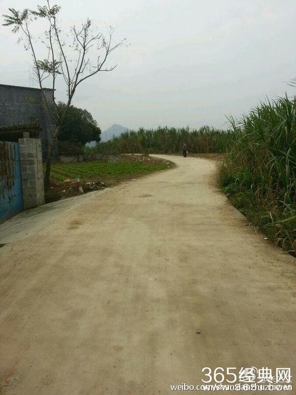 朱之文晒图：十一假期了 记得回家 网友:是晒你花钱修的路吧！