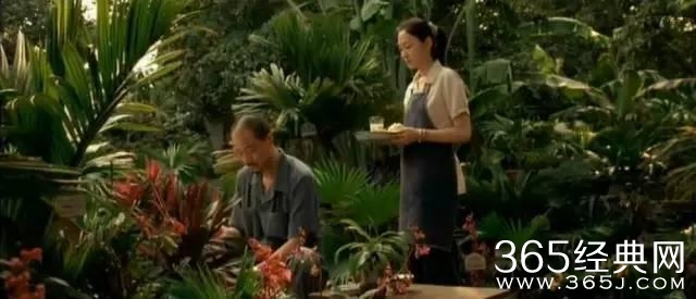 这部影片有内地最美的肉体，一眼难忘的长腿，蒸腾湿润的情欲..