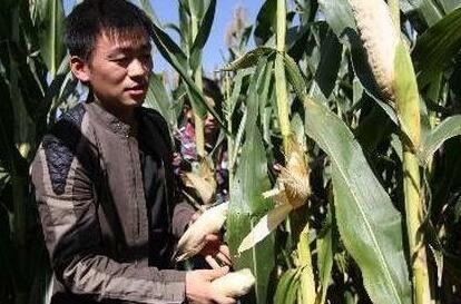 赵丽颖农活干的轻快，杨紫十分狰狞，大衣哥与娇妻不忘秀恩爱