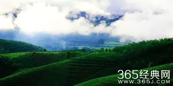 主题庄园创造6个国家级发展典范？ 马云和李连杰慕名前来考察