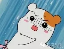 网传G姓女演员拍戏坠崖,古力娜扎、关晓彤、郭碧婷集体躺枪