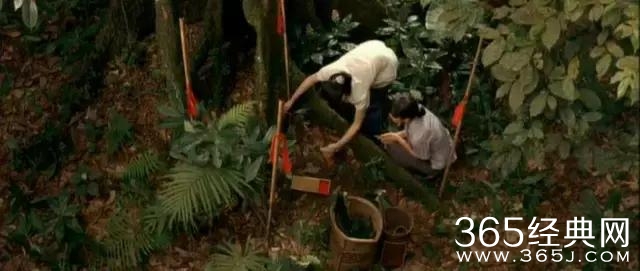 这部影片有内地最美的肉体，一眼难忘的长腿，蒸腾湿润的情欲..