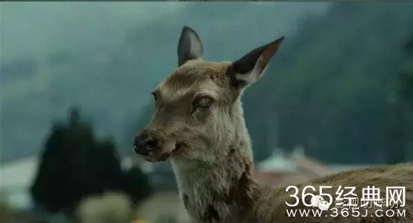 最近刷暴朋友圈的《釜山行》，那些细节你get到了吗？