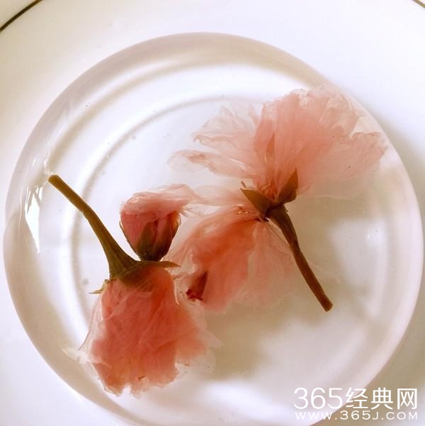 手把手教学,水信玄饼,超高颜值和风小吃!