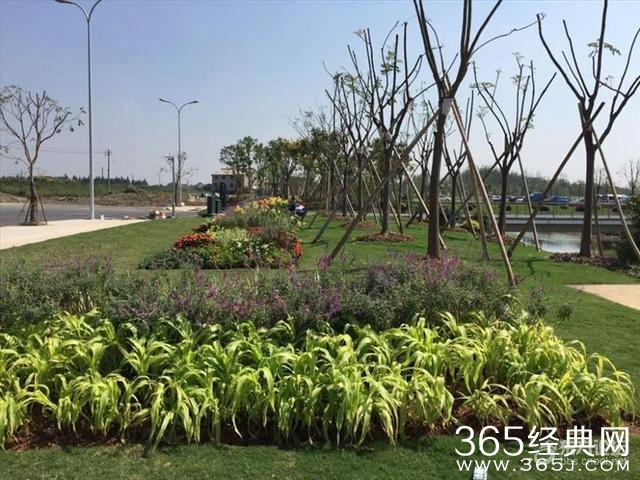 宁波植物园试园了！总体印象比想象要好，范围很大