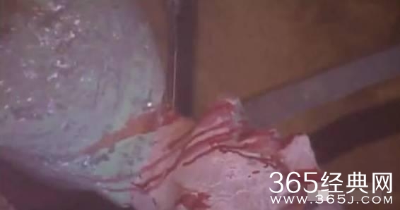 只要被他看上一眼,绝对是一辈子的童年阴影!