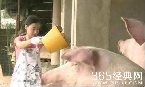 赵丽颖农活干的轻快，杨紫十分狰狞，大衣哥与娇妻不忘秀恩爱