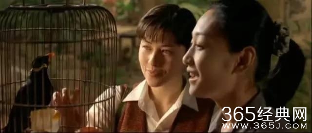 这部影片有内地最美的肉体，一眼难忘的长腿，蒸腾湿润的情欲..