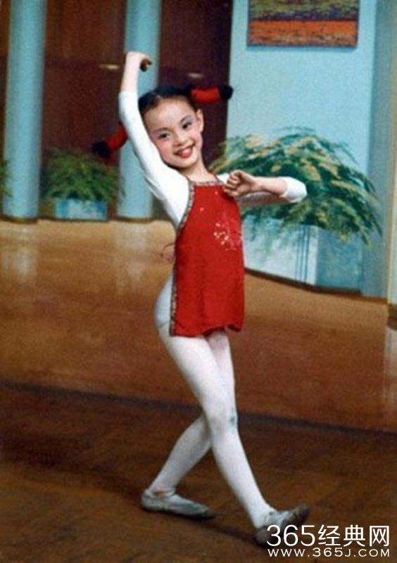 小花里跳舞最好的是刘诗诗、胖迪，舞姿最蠢萌的居然是赵丽颖