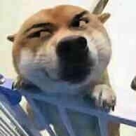 致敬艺术大师—陈佩斯