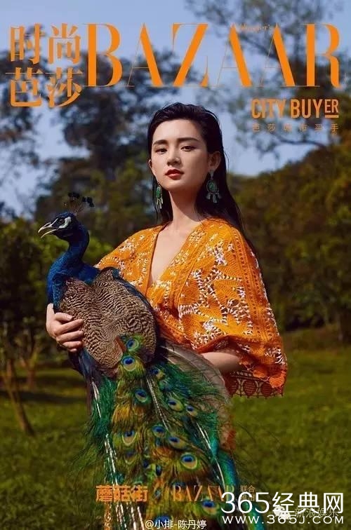 看脸 | 网红和明星同框？有时候气质上差的不是一星半点