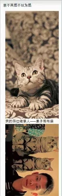 “脸熟”演技派张译，你一定在各种戏里见过他