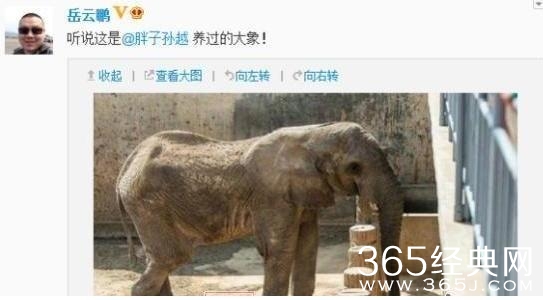 外公是相声大师李文华，孙越却做了10年动物饲养员，多亏郭德纲