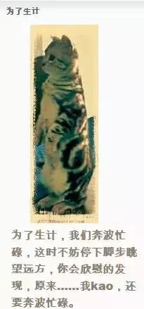 “脸熟”演技派张译，你一定在各种戏里见过他