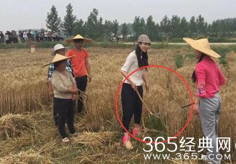 农忙季节，王宝强打农药赵丽颖岳云鹏剥玉米