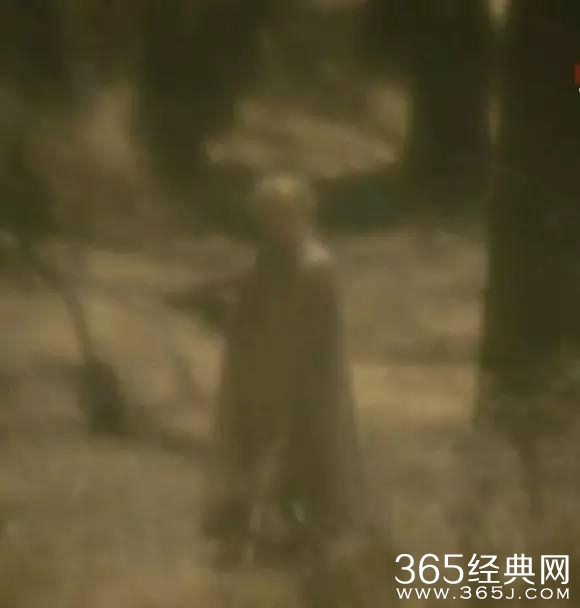 第六季让美恐粉炸了!年度最恐怖电视剧怎么吓人?