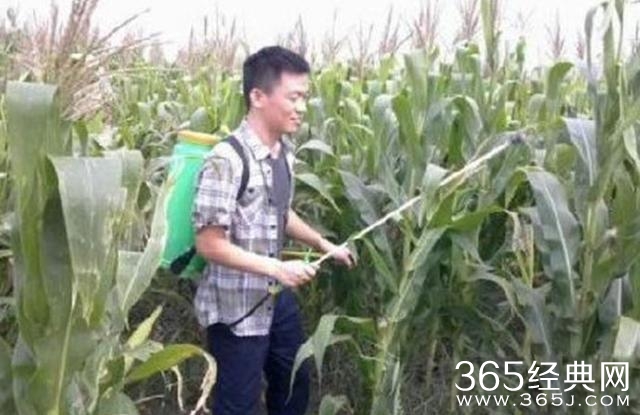 农忙季节，王宝强打农药赵丽颖岳云鹏剥玉米