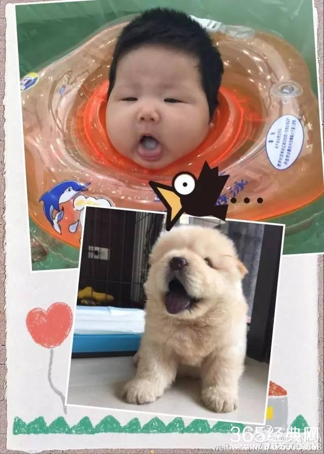 黄多多长成大美女 妹妹曝光好可爱，森碟的弟弟也炒鸡帅！明星二胎宝宝们你们是复制粘贴的啊？