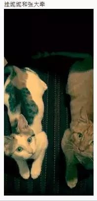 “脸熟”演技派张译，你一定在各种戏里见过他