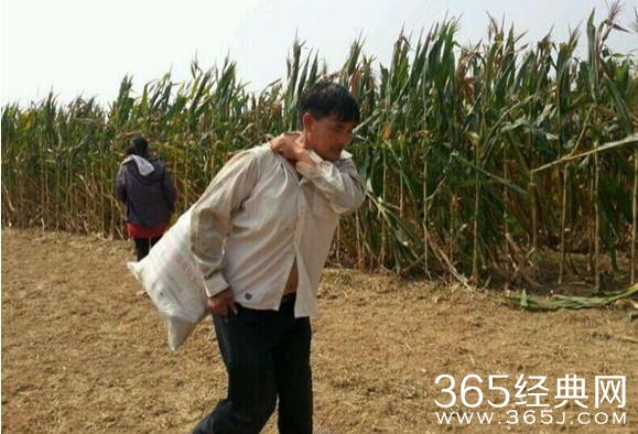 农忙季节，王宝强打农药赵丽颖岳云鹏剥玉米